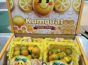 trái kim quất có bao nhiêu loại , mùa nào , tháng nào , giá và size