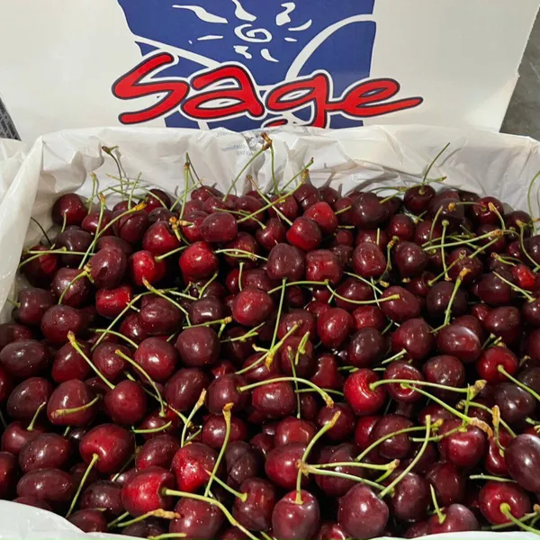 CHERRY MỸ SIZE 8.5