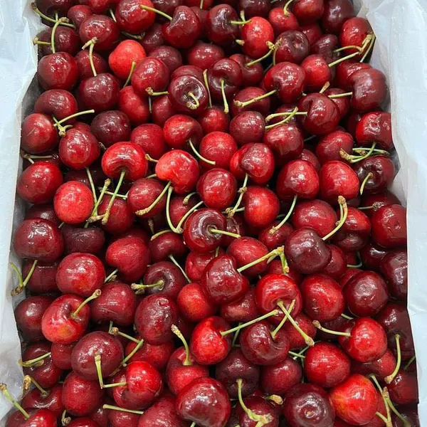 CHERRY CHILE