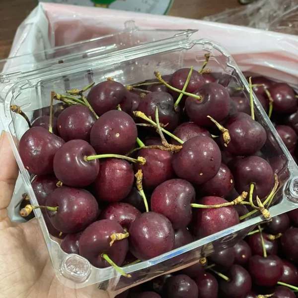 CHERRY CHILE