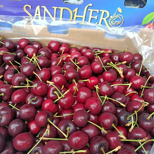 Cherry Sandher