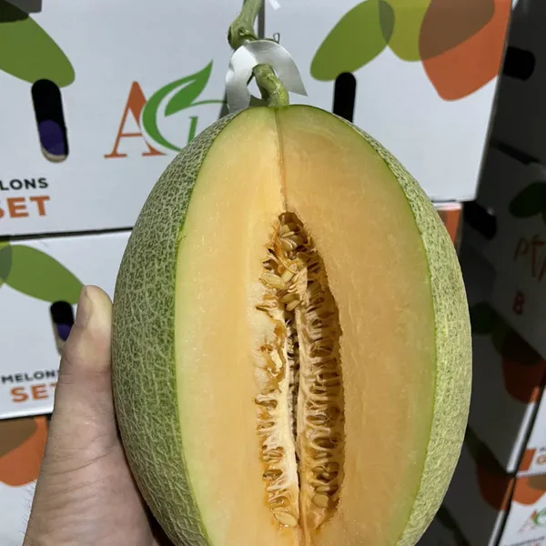 Dưa lưới VIP Size A