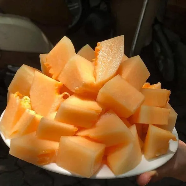 DƯA ĐÀI LOAN THÙNG