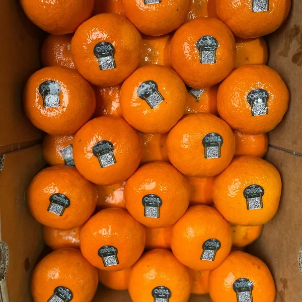 Quýt Úc opal thùng 9kg