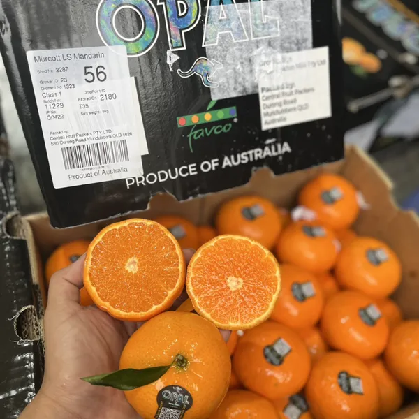 Quýt Úc opal thùng 9kg