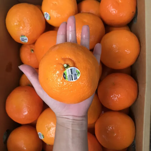 QUÝT ÚC SIM FRESH thùng 9kg