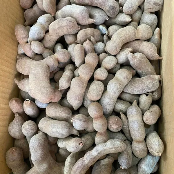 Me Thái hộp 800gr