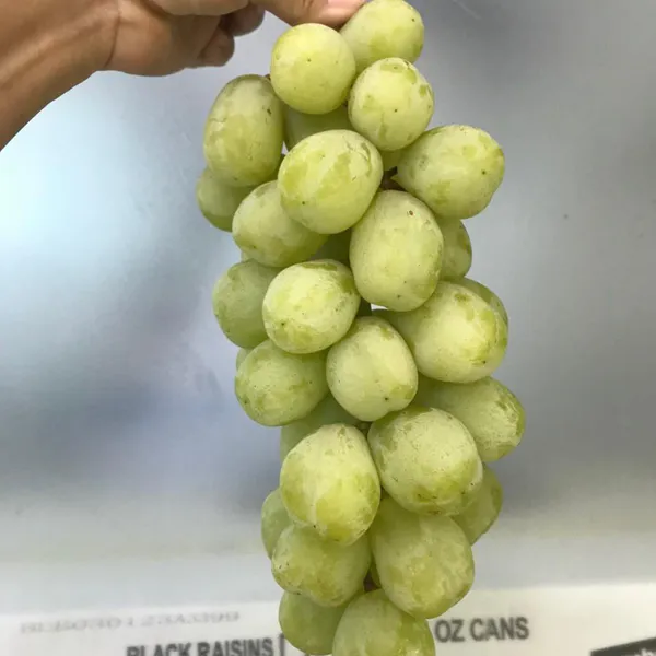 Nho xanh Mỹ