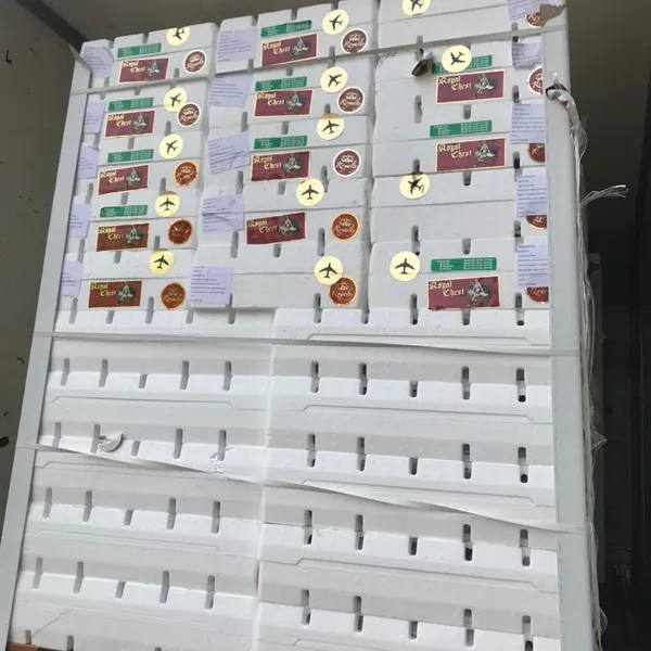 Nho xanh Mỹ