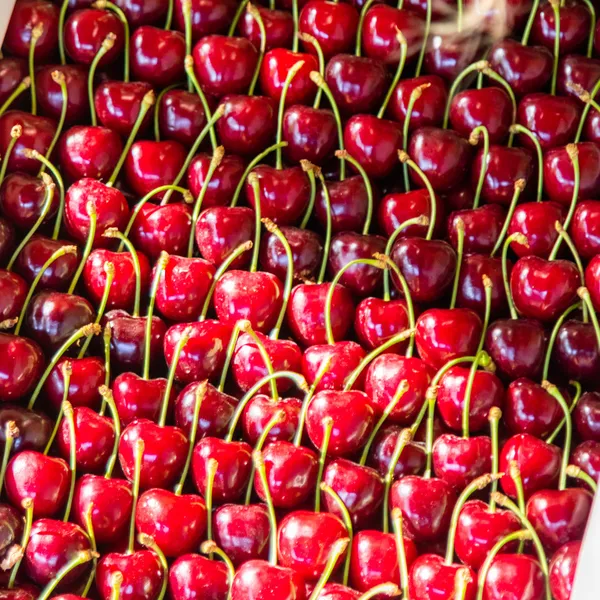 Thùng Cherry chile 5kg