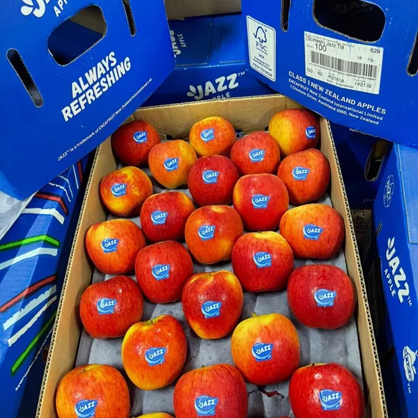 Táo Jazz size 90