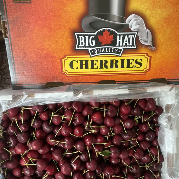 Cherry canada cái nón