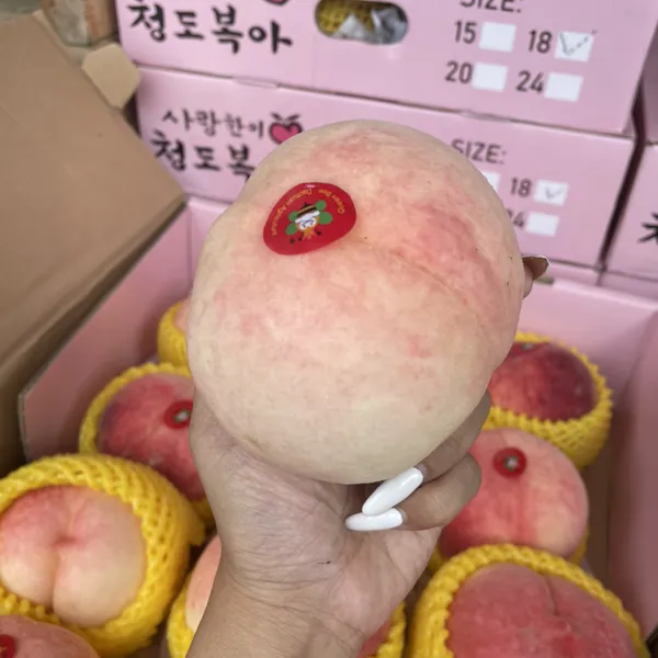 Đào tiên