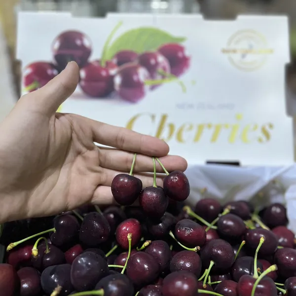 Cherry new hộp 1kg