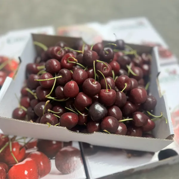 Cherry new hộp 1kg