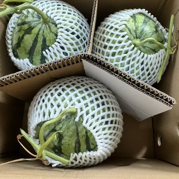 Dưa hấu táo
