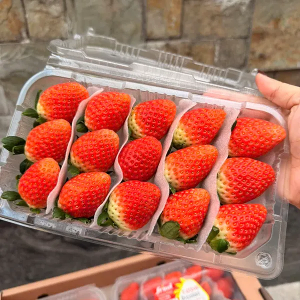 Dâu HÀN QUỐC 330gr