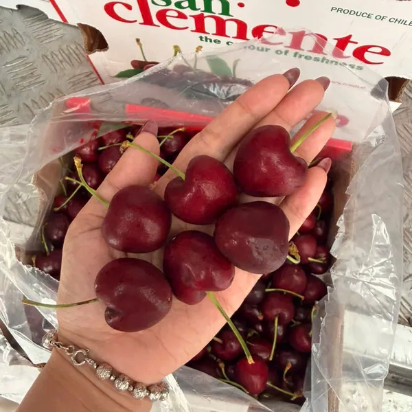 Thùng Cherry chile 5kg