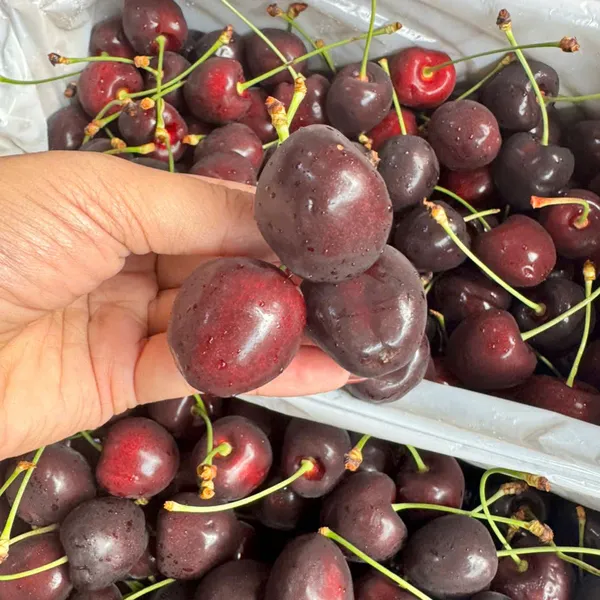 Hộp quà cherry newzealand 2kg