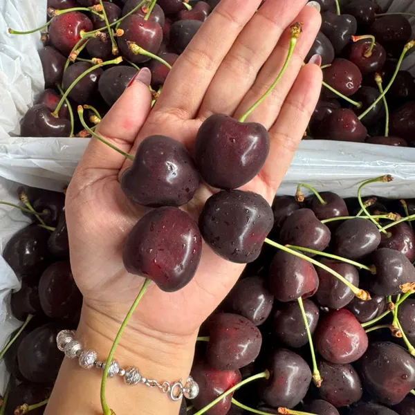 Hộp quà cherry newzealand 2kg