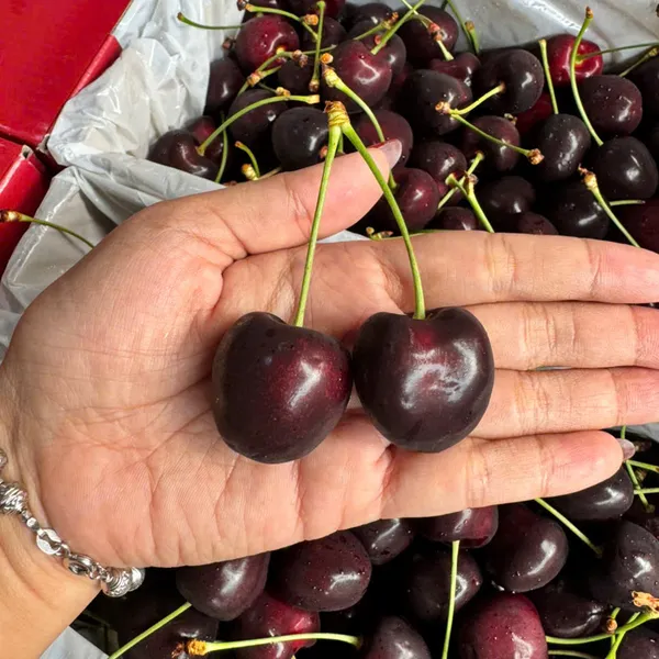 Hộp quà cherry newzealand 2kg