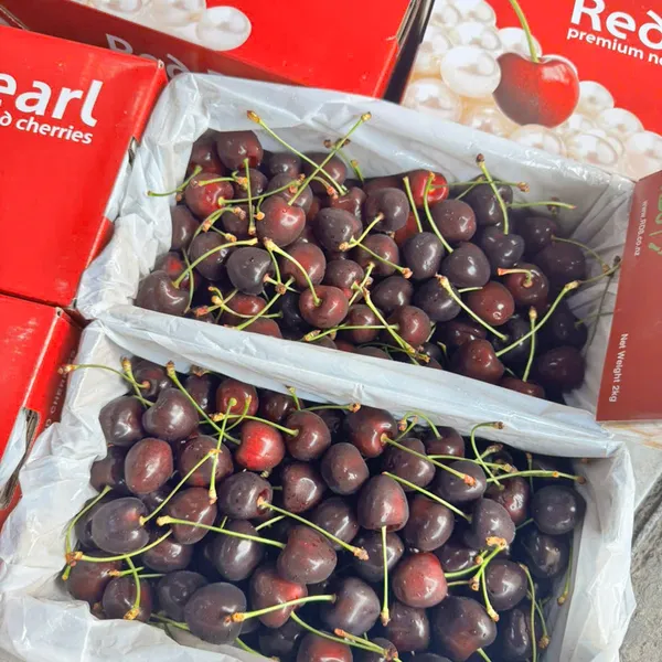 Hộp quà cherry newzealand 2kg