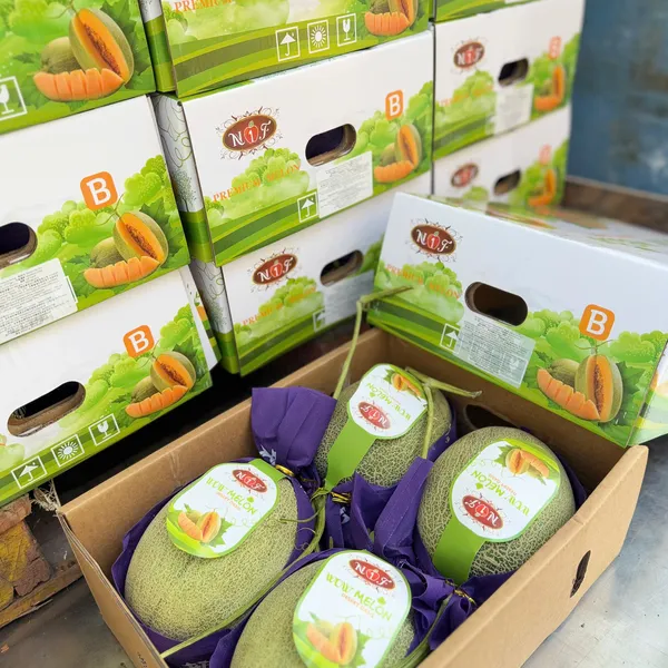 Thùng Dưa lưới Hami Melon