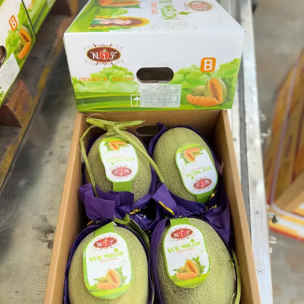 Thùng Dưa lưới Hami Melon