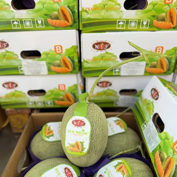 Thùng Dưa lưới Hami Melon