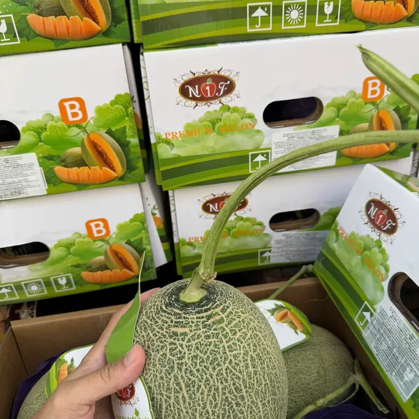 Thùng Dưa lưới Hami Melon