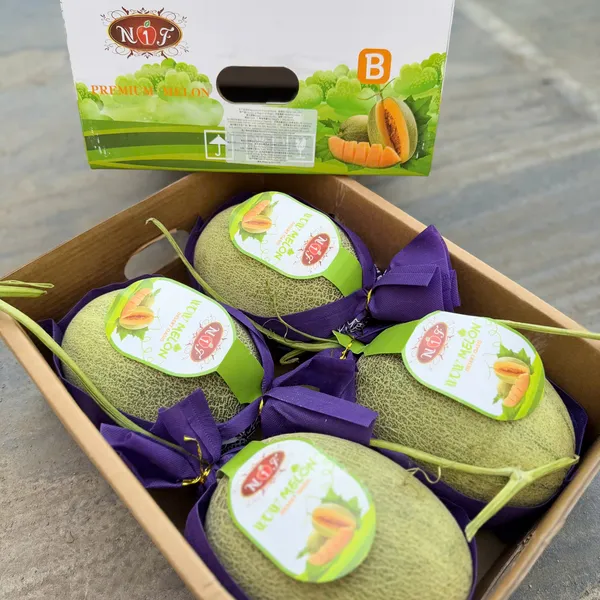 Thùng Dưa lưới Hami Melon