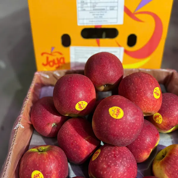 TÁO NAM PHI TƯƠI NGON – GIÒN NGỌT TỰ NHIÊN