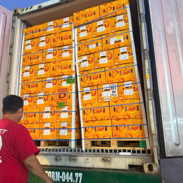 TÁO NAM PHI TƯƠI NGON – GIÒN NGỌT TỰ NHIÊN