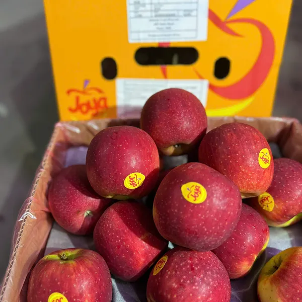 TÁO NAM PHI TƯƠI NGON – GIÒN NGỌT TỰ NHIÊN