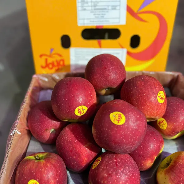 TÁO NAM PHI TƯƠI NGON – GIÒN NGỌT TỰ NHIÊN