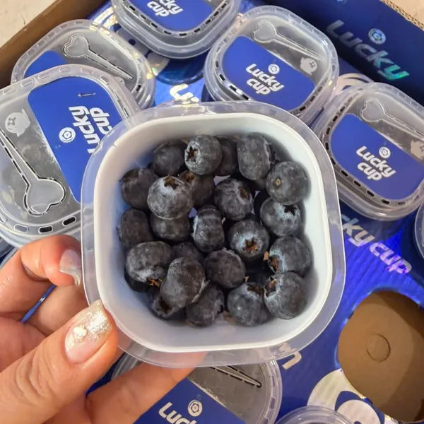 VIỆT QUẤT – TRÁI NHỎ LUNG LINH, LỢI ÍCH TO BỰ