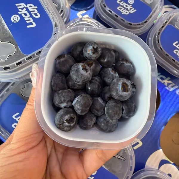 VIỆT QUẤT – TRÁI NHỎ LUNG LINH, LỢI ÍCH TO BỰ