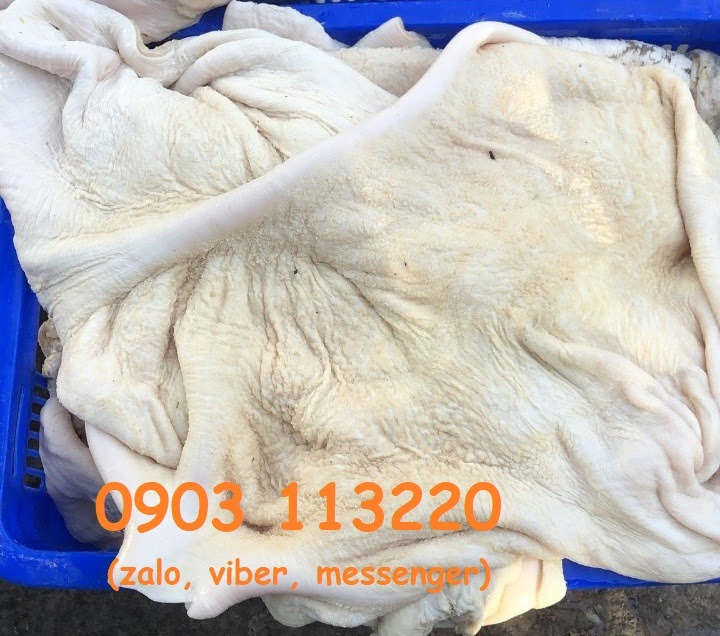 Cách chọn nguyên liệu dạ dày bò Cách chọn nguyên liệu dạ dày bò