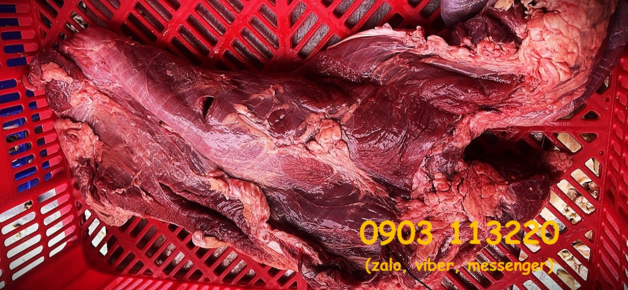 Diềm thăn bò Diềm thăn bò