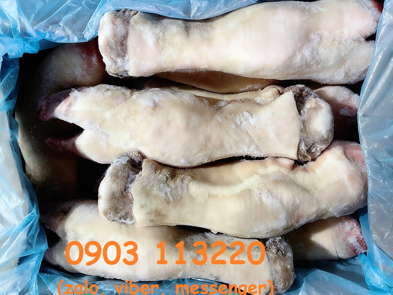 Dựng bò tại Lòng bò tươi Thanh Bình đảm bảo chất lượng Dựng bò tại Lòng bò tươi Thanh Bình đảm bảo chất lượng