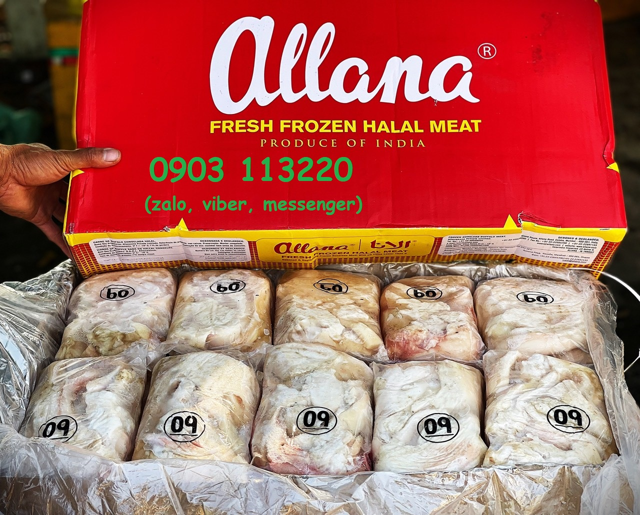 Gân y Allana Gân y Allana