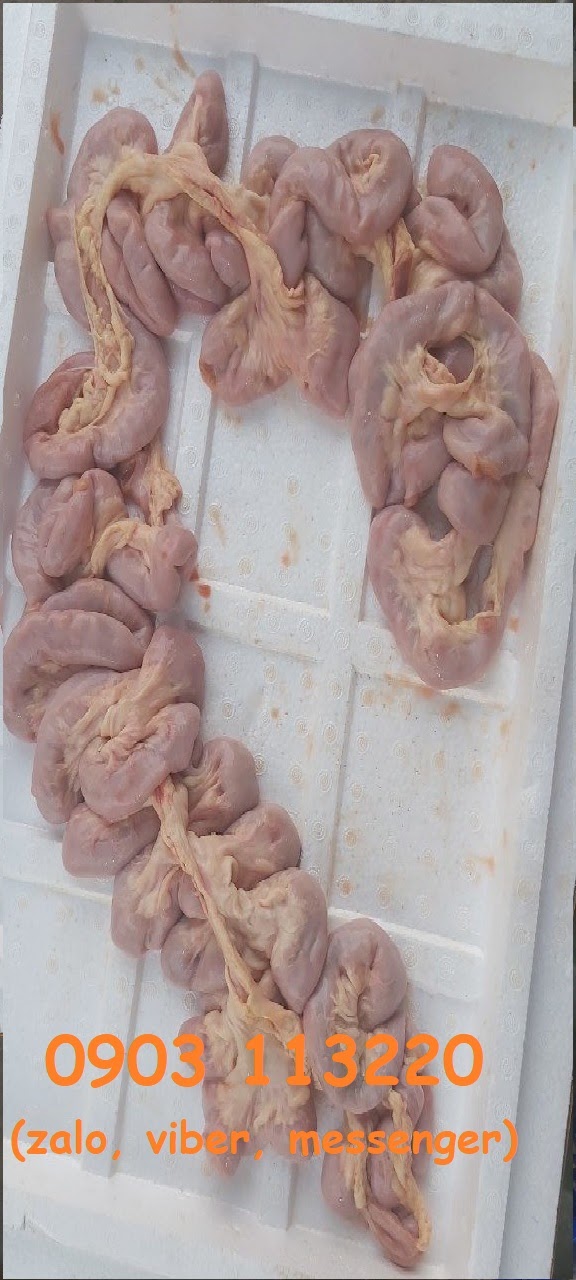 Hướng dẫn sơ chế phèo bò Hướng dẫn sơ chế phèo bò