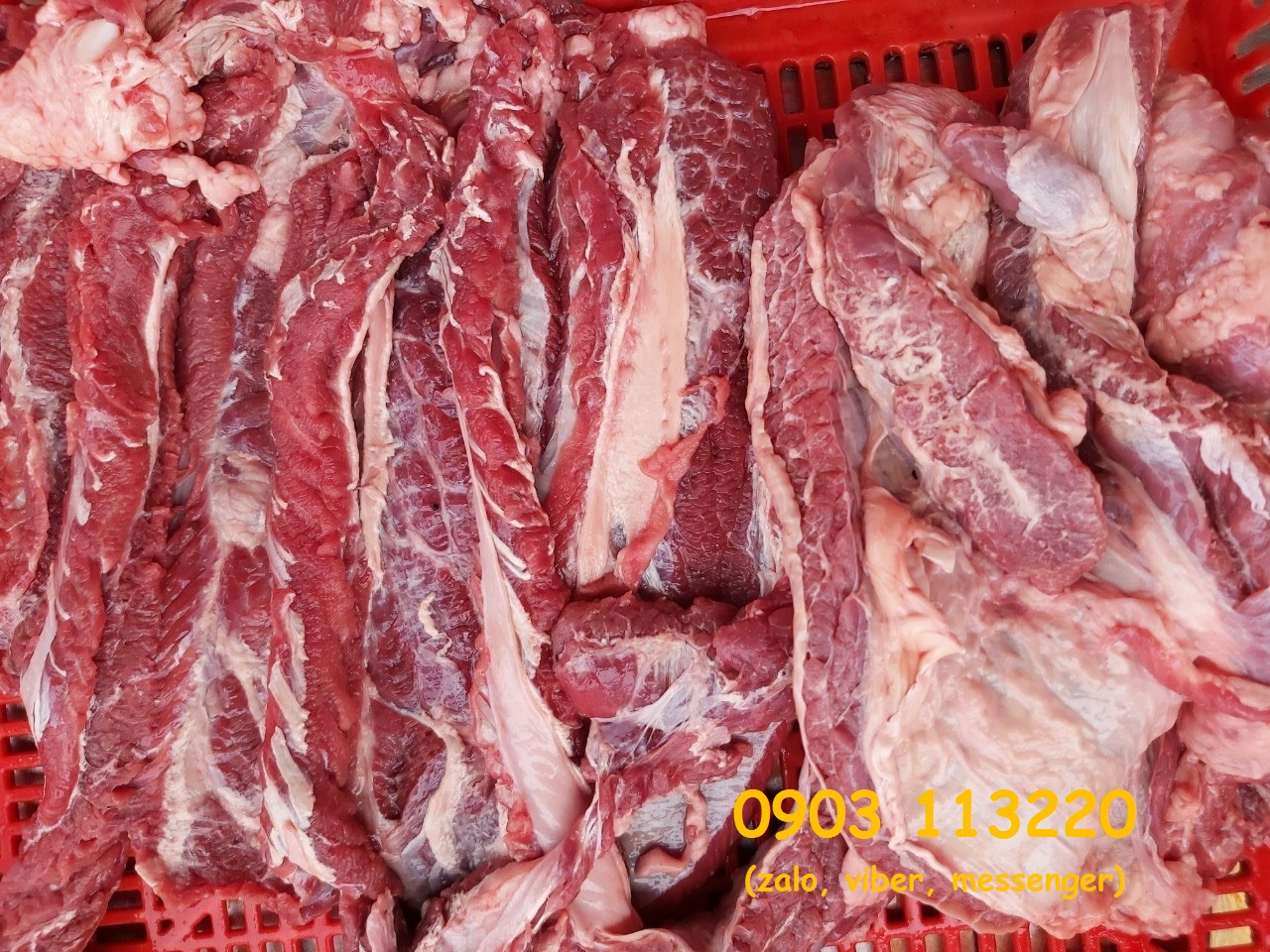 Mua dẻ sườn bò ngon tại lòng bò tươi Thanh Bình Mua dẻ sườn bò ngon tại lòng bò tươi Thanh Bình