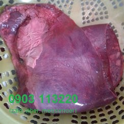 Mua lá mía bò ngon tại lòng bò tươi Thanh Bình Mua lá mía bò ngon tại lòng bò tươi Thanh Bình