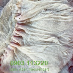 Mua lòng bò ở đâu để có món ngon cho bữa cơm gia đình? Mua lòng bò ở đâu để có món ngon cho bữa cơm gia đình?