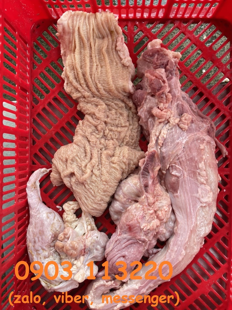 Mua thú linh ngon từ lòng bò tươi Thanh Bình Mua thú linh ngon từ lòng bò tươi Thanh Bình