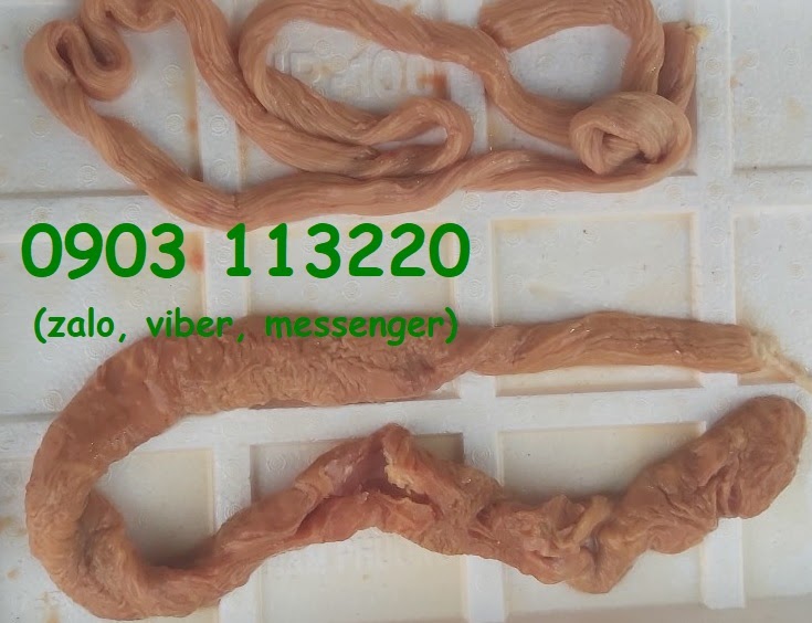 Ruột già bò Ruột già bò