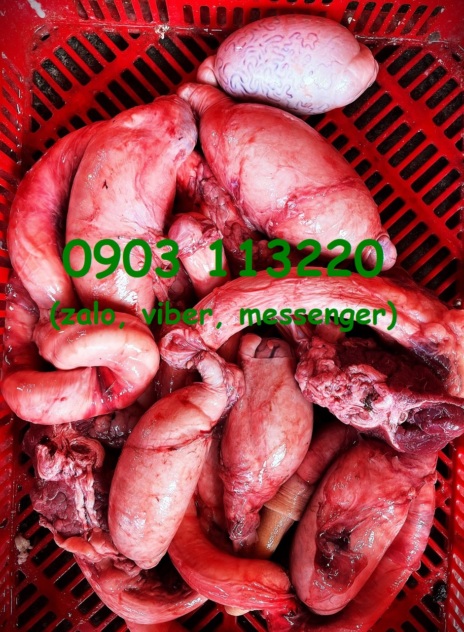 Sản phẩm bín bò của công ty Thanh Bình Sản phẩm bín bò của công ty Thanh Bình