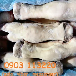 Dựng bò