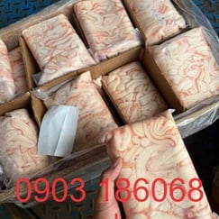 Tủy bò